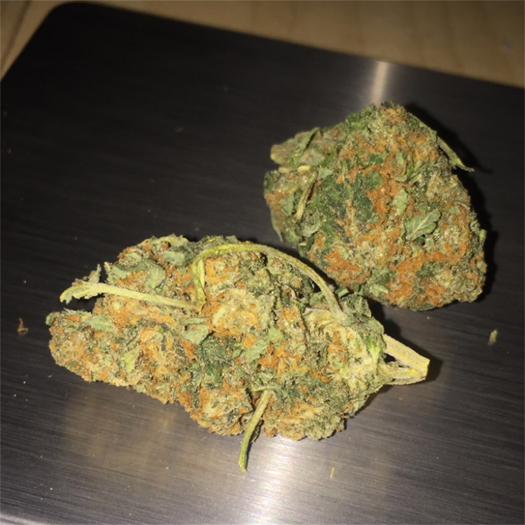 blueberry-kush__primary_dd47 Buy Blueberry kush online