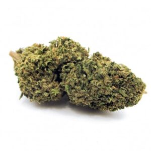 Buy Swiss Vanill Kush online