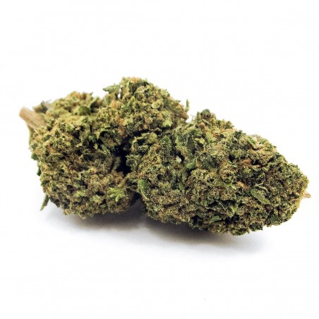 Buy Swiss Vanill Kush online