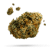 Buy Chocolope Bluten weed online