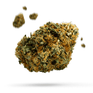 Buy Chocolope Bluten weed online