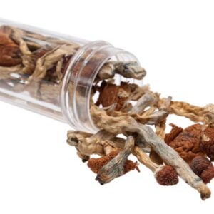 Buy psilocybin online uk